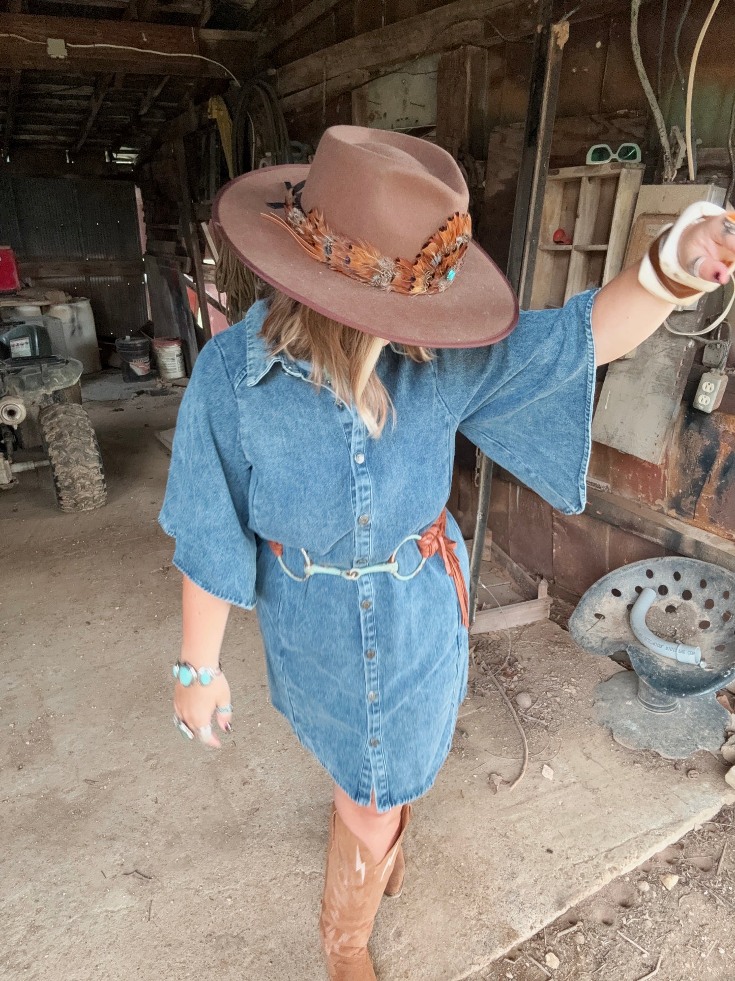 Della Denim Dress