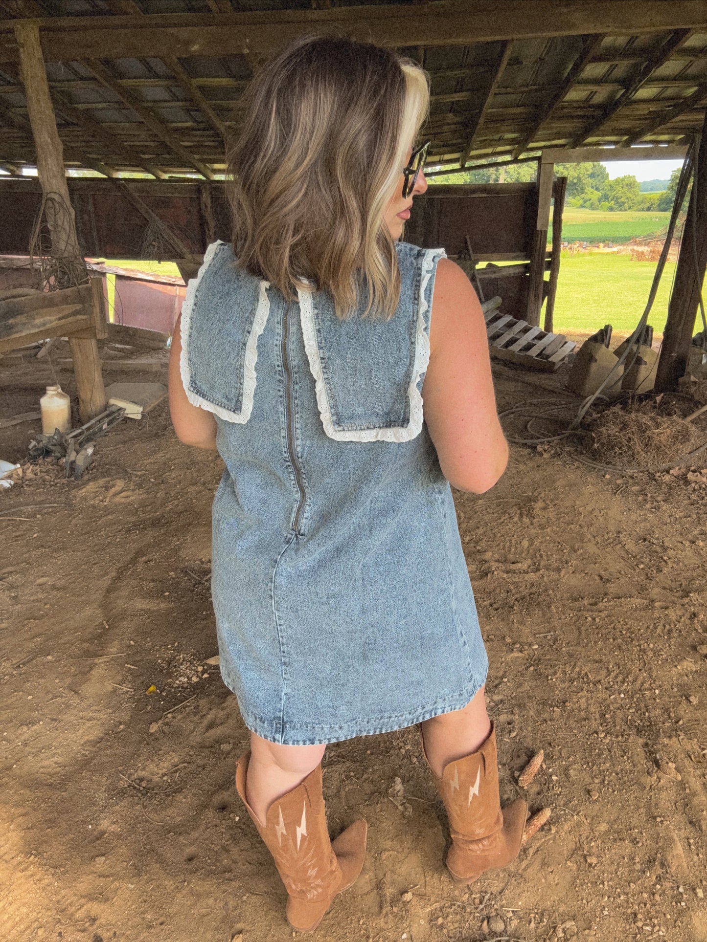 Davi Denim Dress