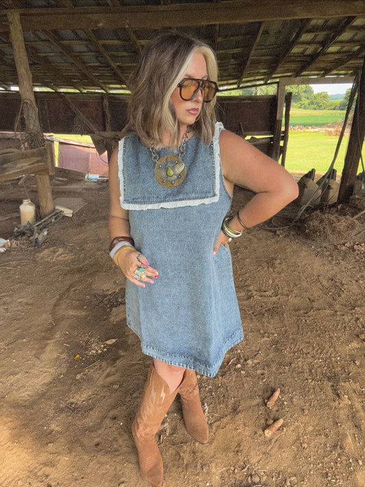 Davi Denim Dress