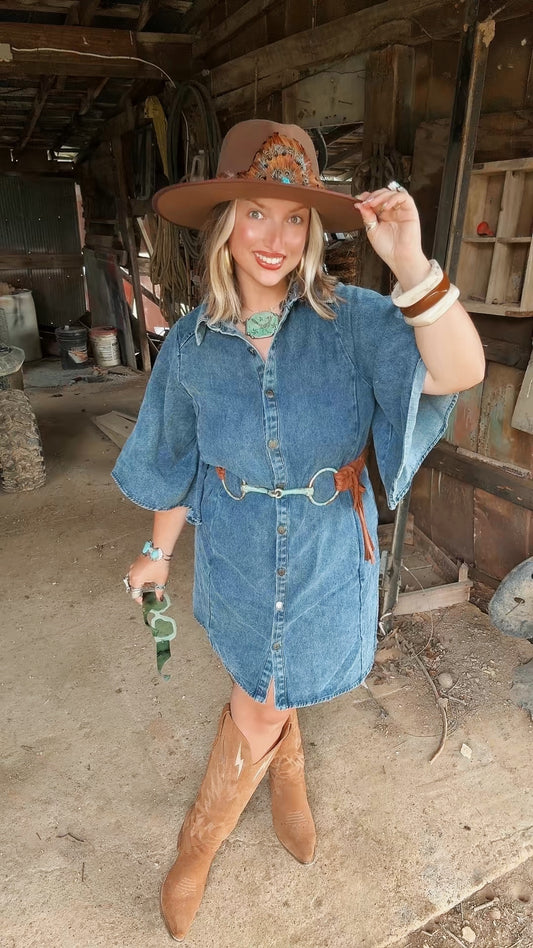 Della Denim Dress