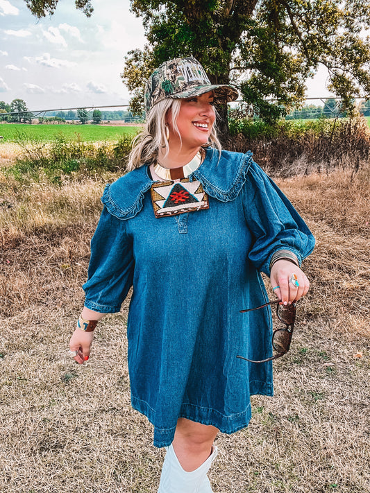 Denim Peter Pan collar dress